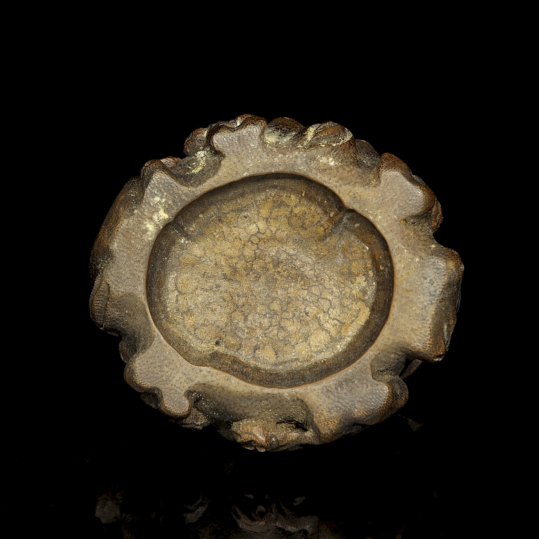 Recipiente para agua “Lingzhi” de madera tallada, dinastía Qing