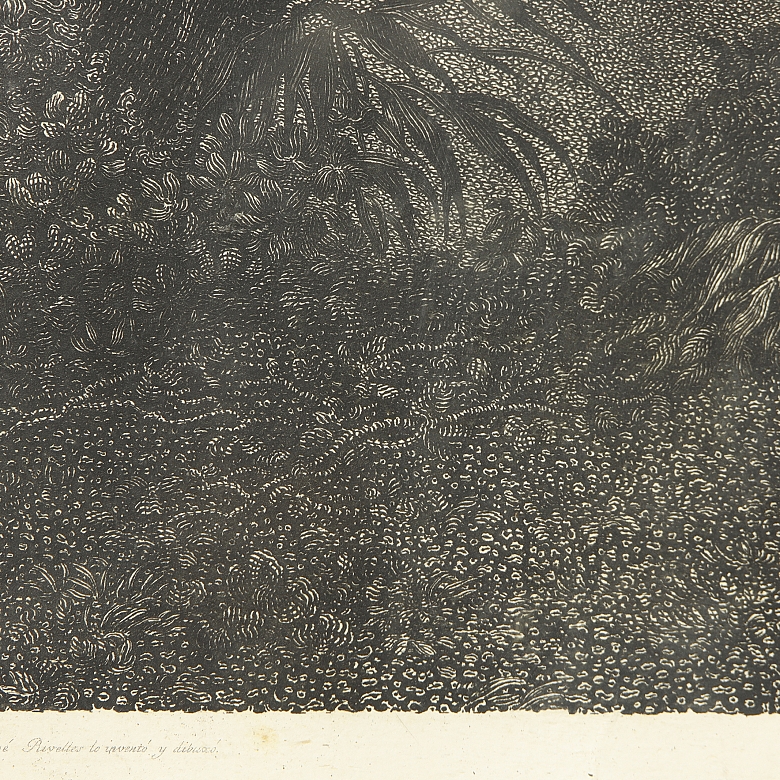 José Rivelles (1777-1835) ‘Engraving of Napoleon’ - 8