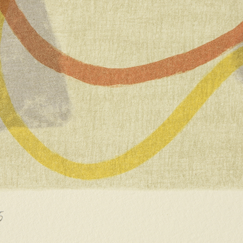 亚历杭德罗·科鲁赫拉 Alejandro Corujeira （1961）《雪之五重奏系列：花园之光》，2005年