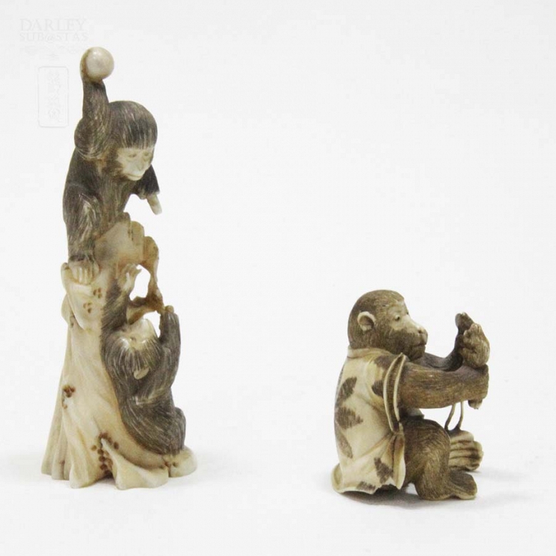 Monos de marfil - 4