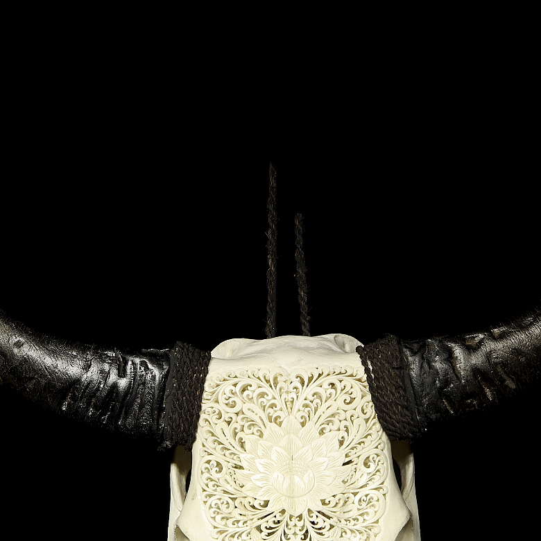 Carved water buffalo skull, 20th century - 1