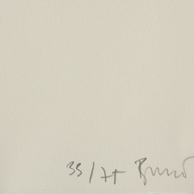 布兰卡·穆尼奥斯·冈萨洛 Blanca Muñoz Gonzalo (1963) 《分歧者》,2005