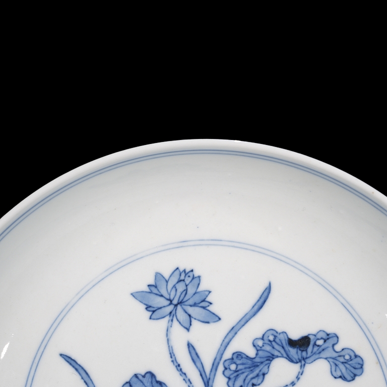 Plato de porcelana 