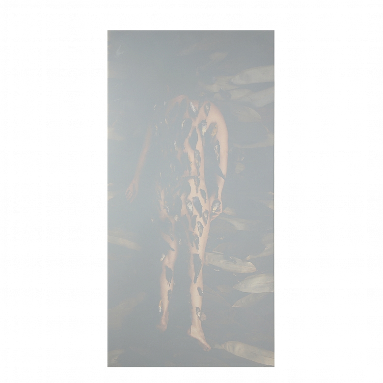 Cecilia Paredes (1950) “El Sueño”, 2005