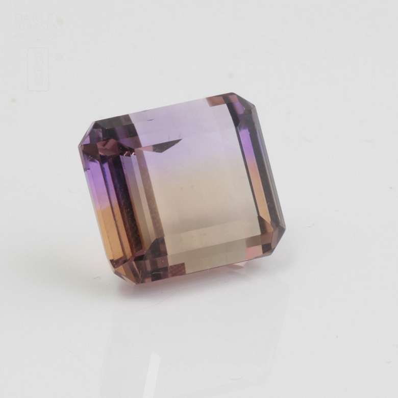 Bonito ame trinó ,  en talla cojín /princesa, - 1
