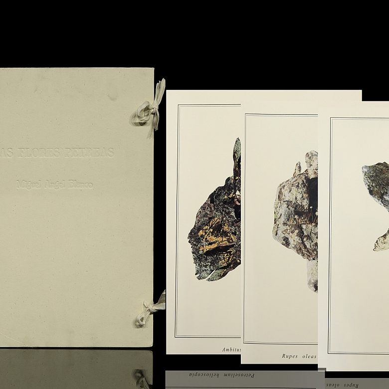 Miguel Angel Blanco “Flores Pétreas”, 2003