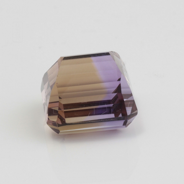 Bonito ame trinó ,  en talla cojín /princesa, - 5
