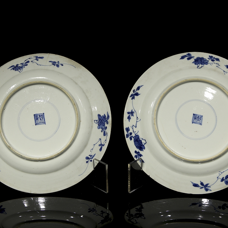 Pareja de platos de porcelana 