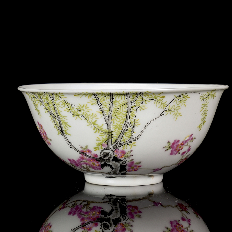 Cuenco de porcelana esmaltada 