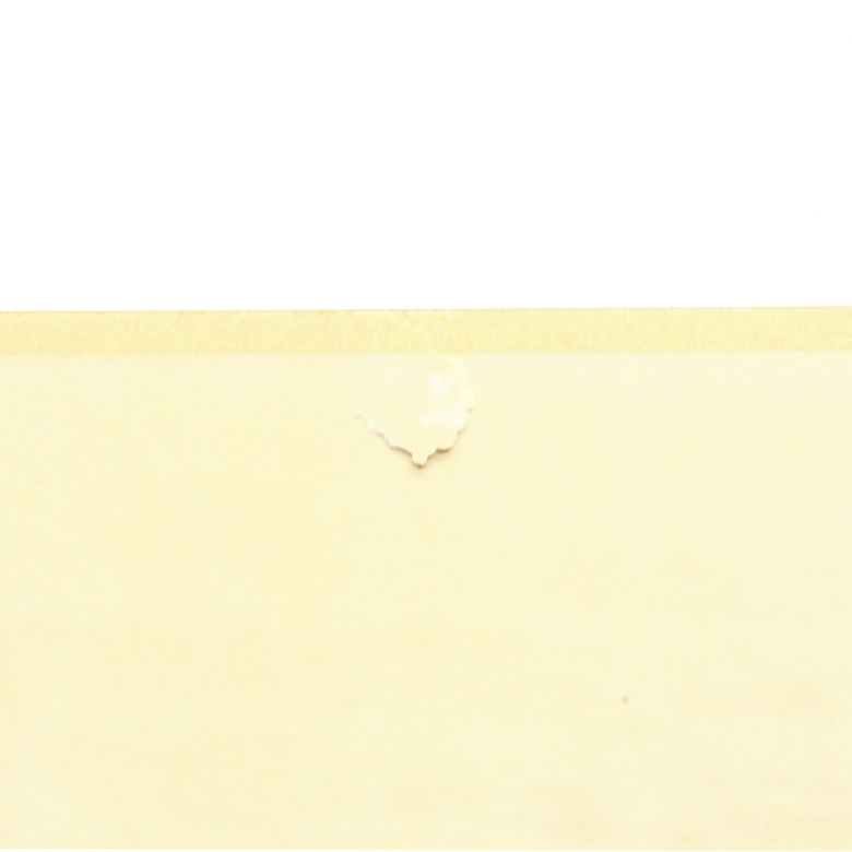 Luis Arcas Brauner (1934-1989) 