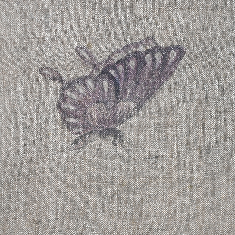 Pintura china “Roca y flores con mariposa”, con firma Yu Xi - 5