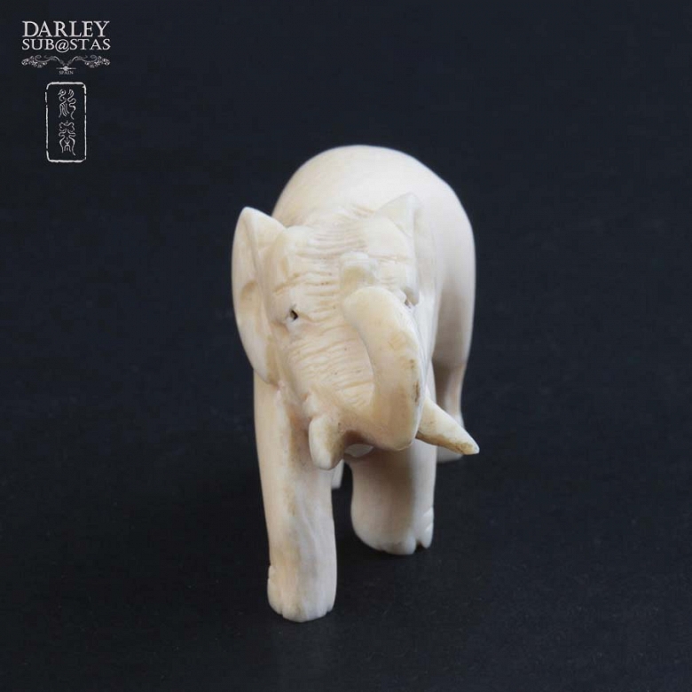 Elephant ivory - 2