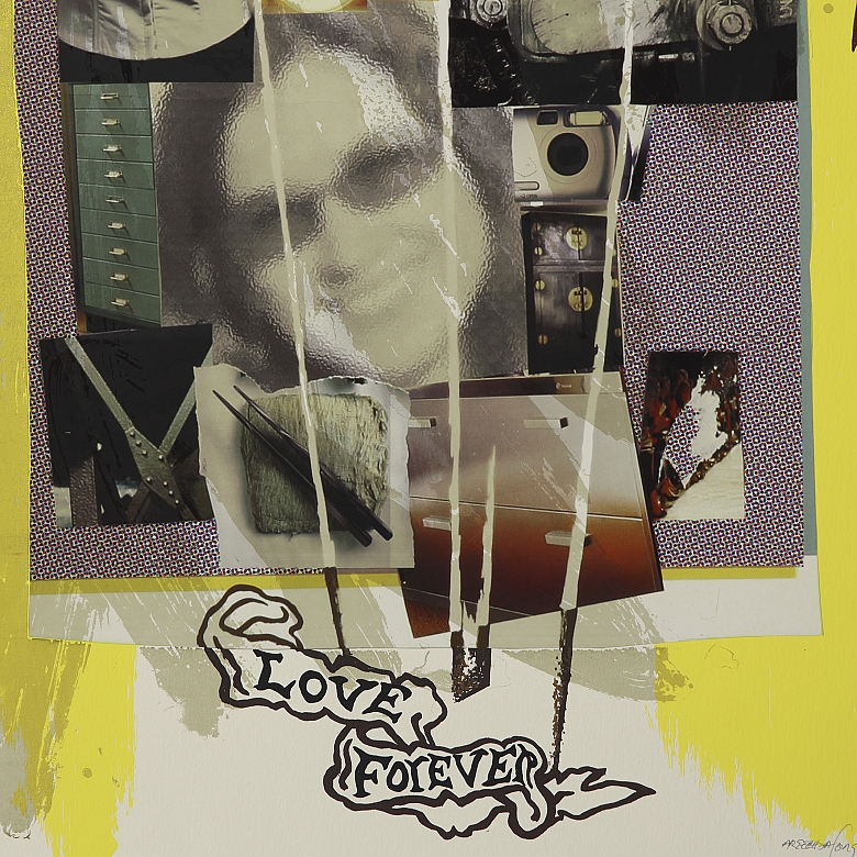 亚历杭德罗·阿雷切亚·方（1967）《梅洪杰二号》，2004