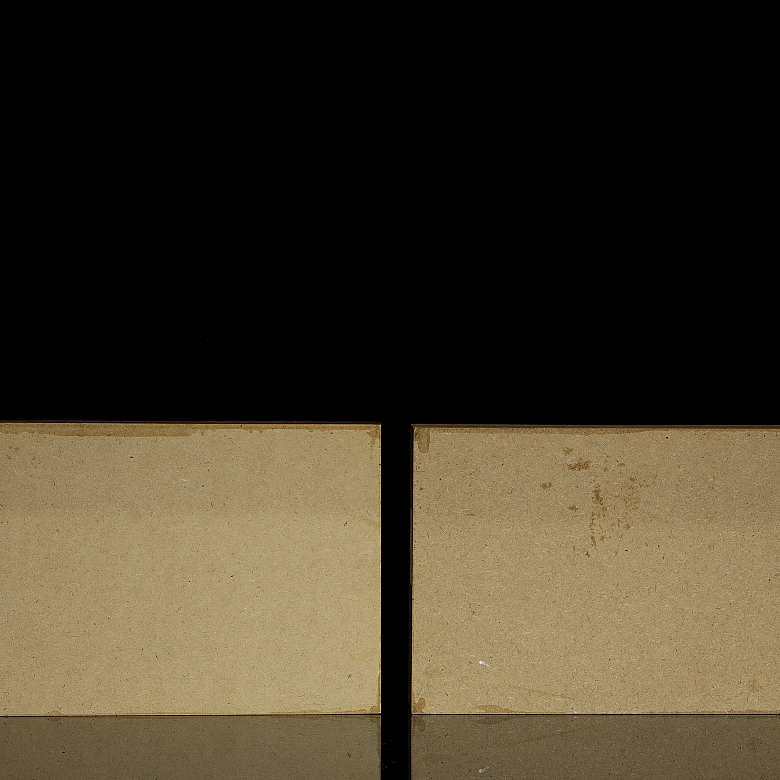 Dos cajas entomológicas con colección de insectos y arácnidos, s.XX