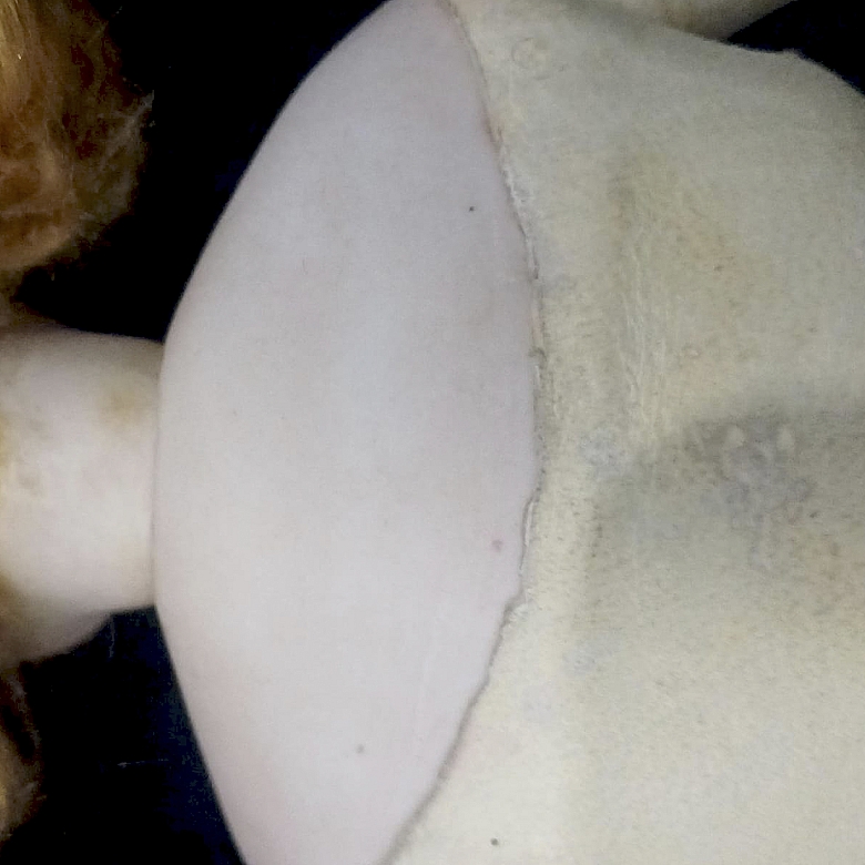 Tres muñecas de porcelana
