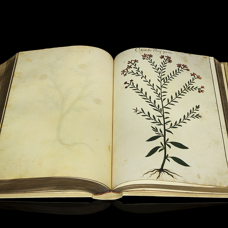 Jacobus Honoratus Pomar ‘Atlas of Natural History’, 1990 - 3