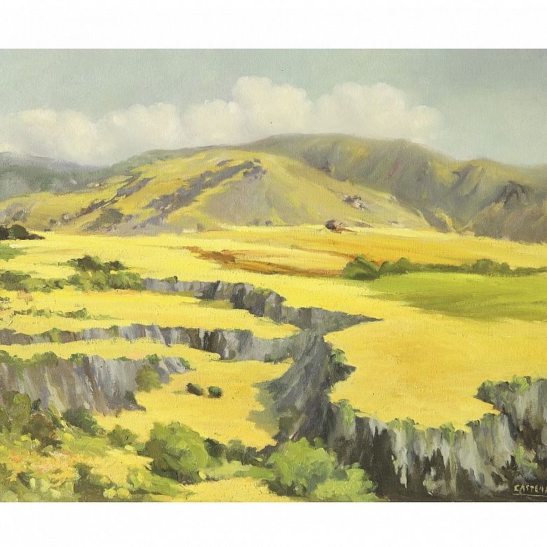 维森特·卡斯特尔·阿隆索 Vicente Castell Alonso 《山景》