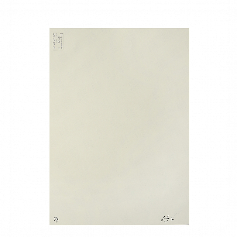 罗道夫·洛皮斯·西斯内罗斯 Rodolfo Llopis Cisneros（1955）《共处而不混杂IV》2005 - 4
