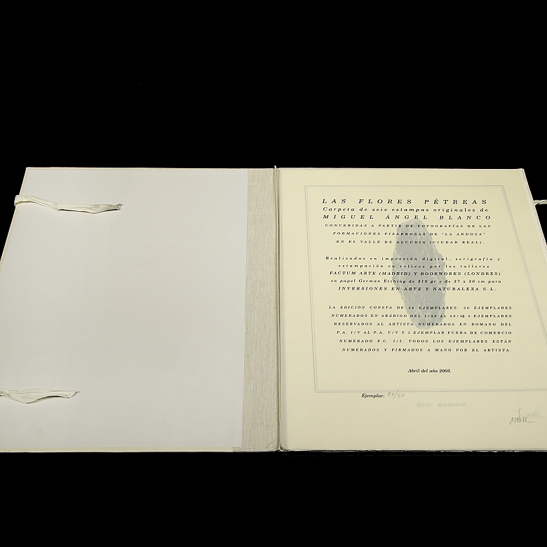 米格尔·安赫尔·布兰科 Miguel Angel Blanco《石头花》,2003年