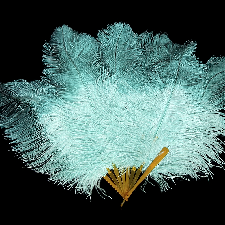 Fan with sky blue feathers, 20th century