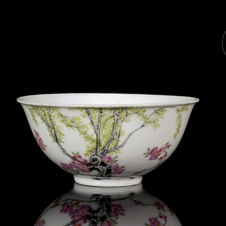 Cuenco de porcelana esmaltada 