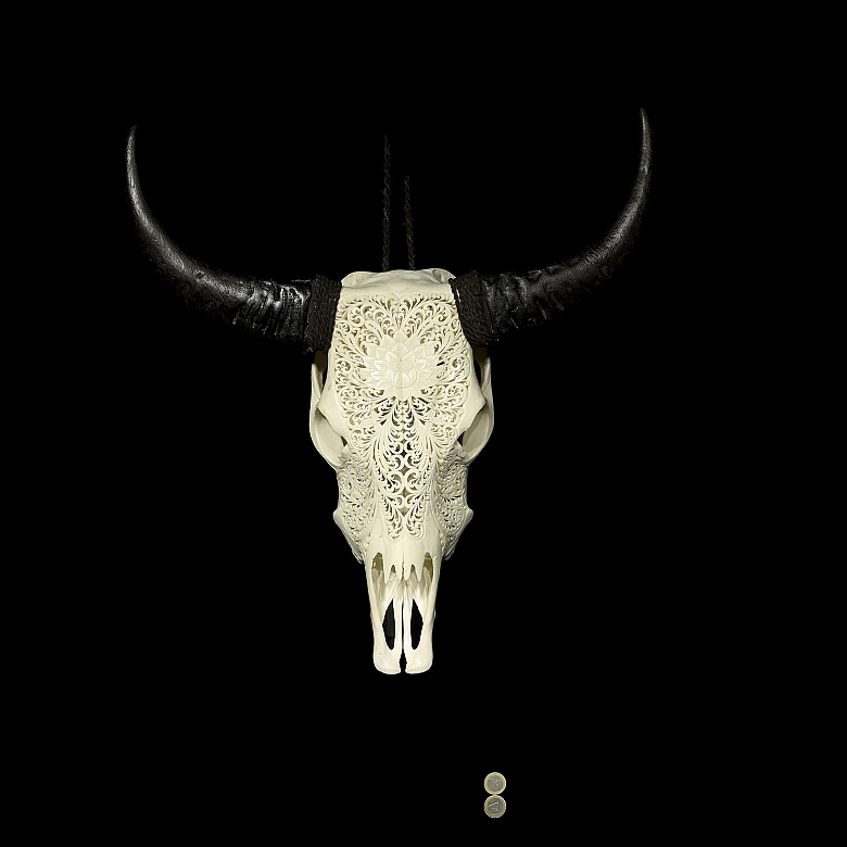 Carved water buffalo skull, 20th century - 6