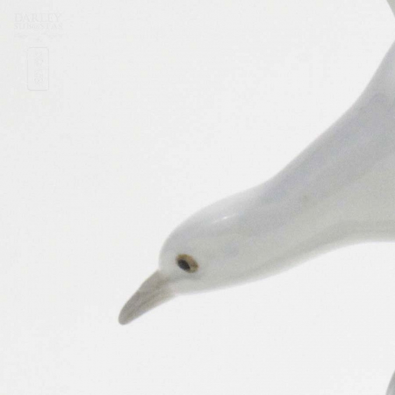 Tórtola de Lladró - 6