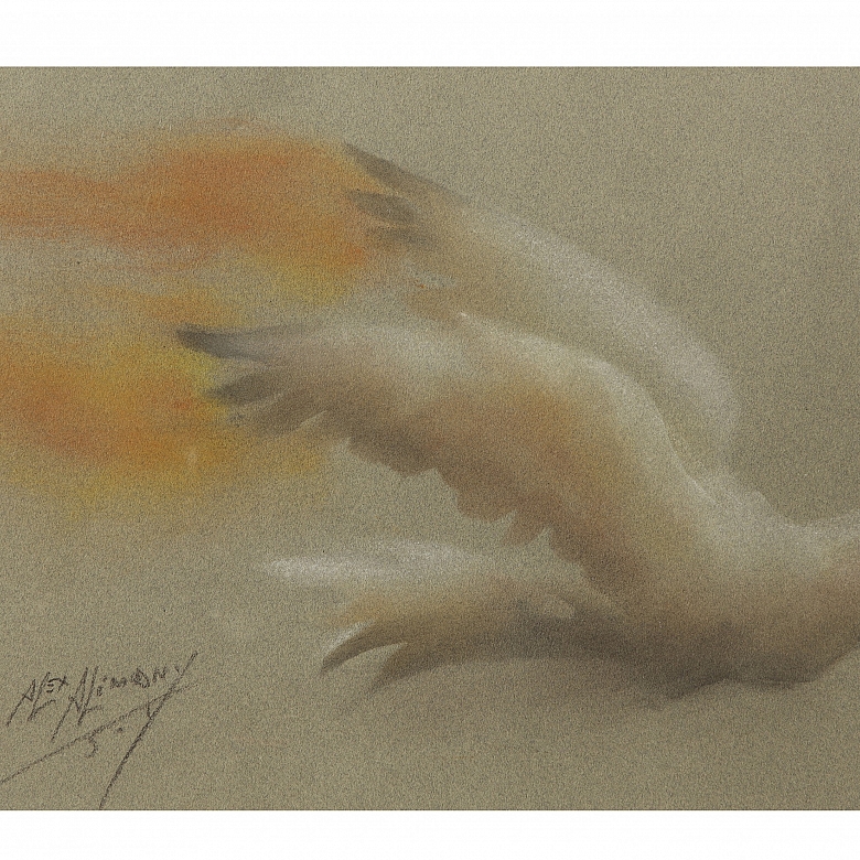 Alex Alemany (1943–2021) ‘Pigeon’