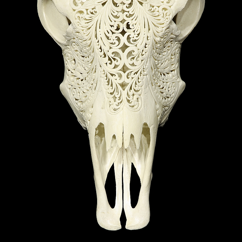 Carved water buffalo skull, 20th century - 2