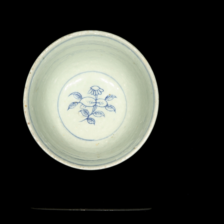 Cuenco de porcelana azul y blanco