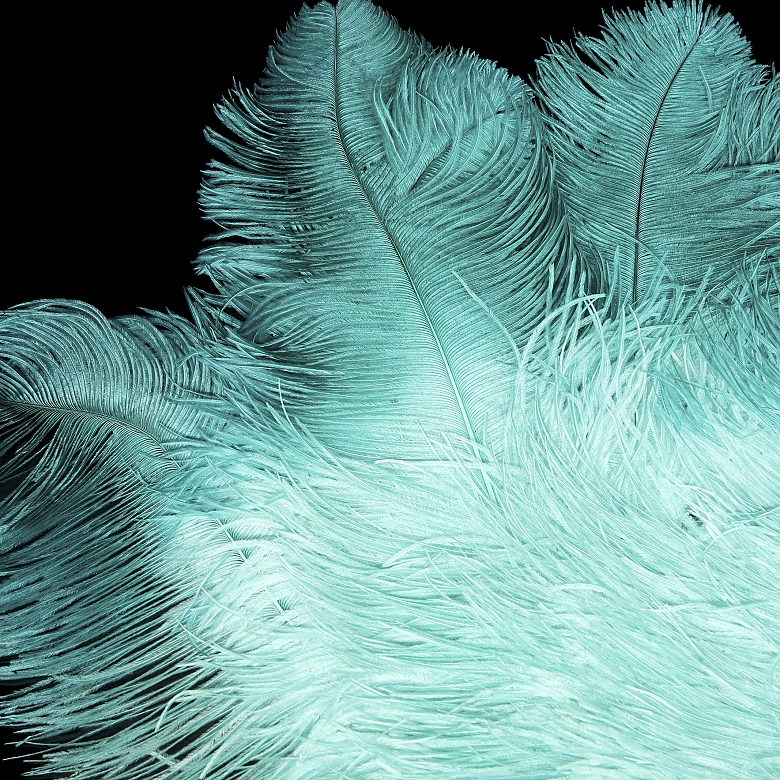 Fan with sky blue feathers, 20th century
