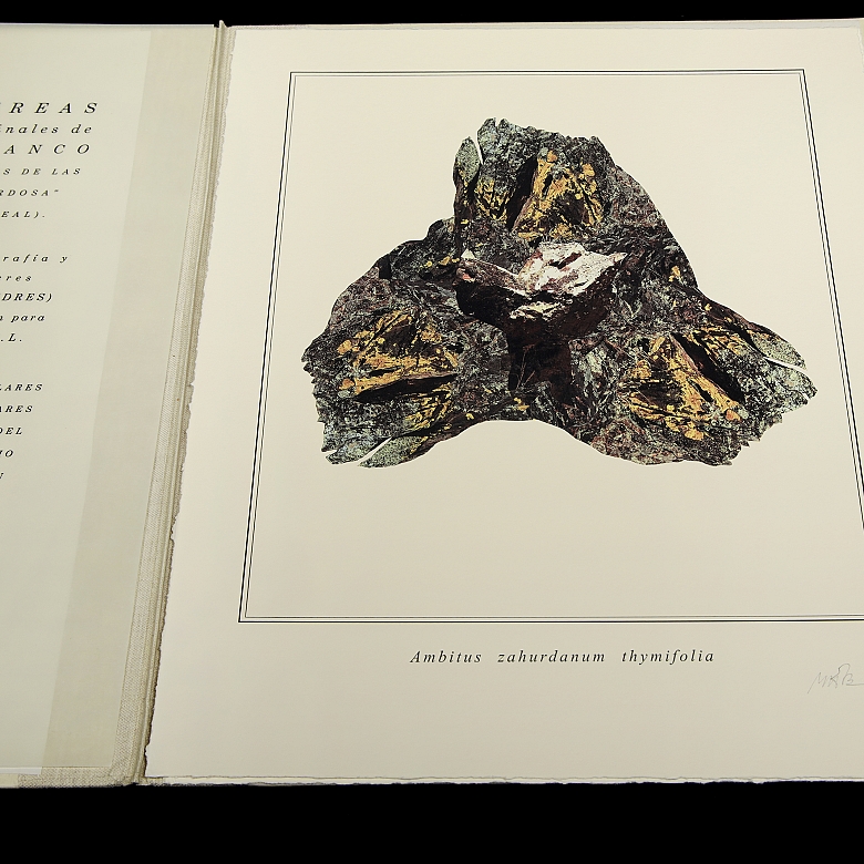 米格尔·安赫尔·布兰科 Miguel Angel Blanco《石头花》,2003年