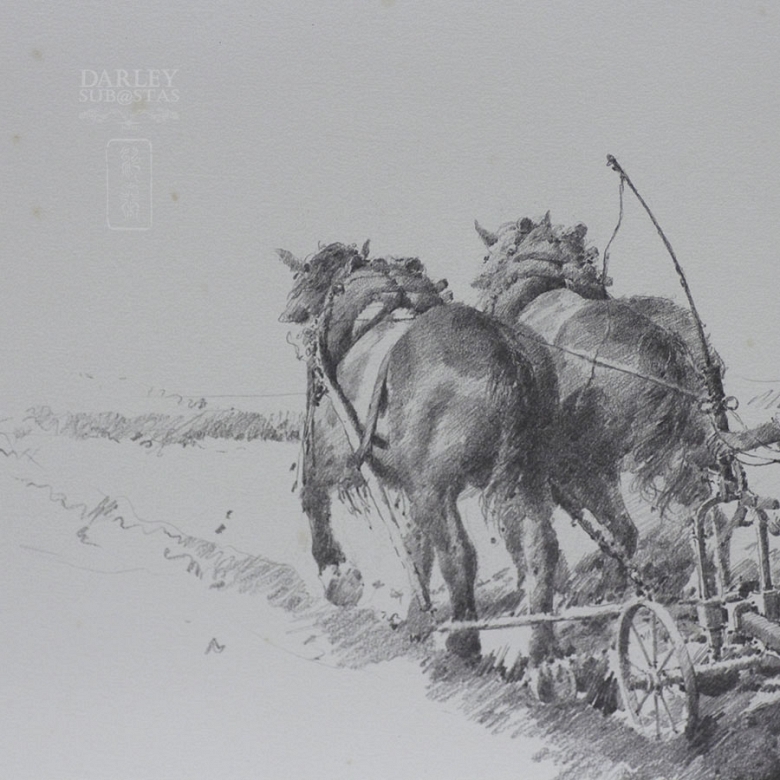 Conrado Meseguer Munoz 3 Lithographs - 6