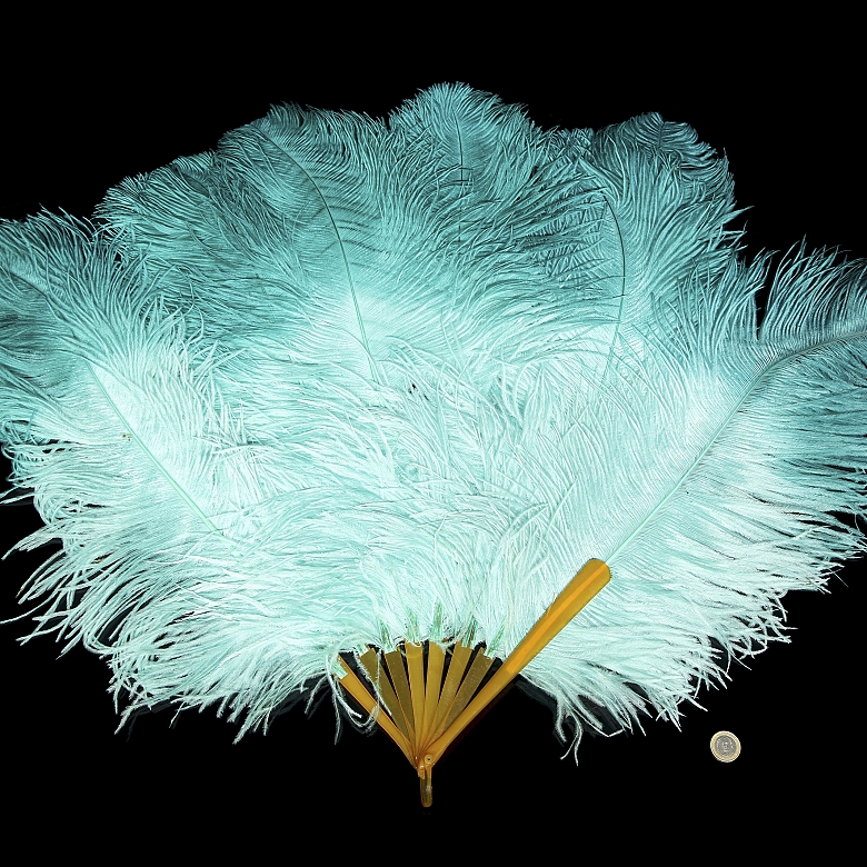 Fan with sky blue feathers, 20th century