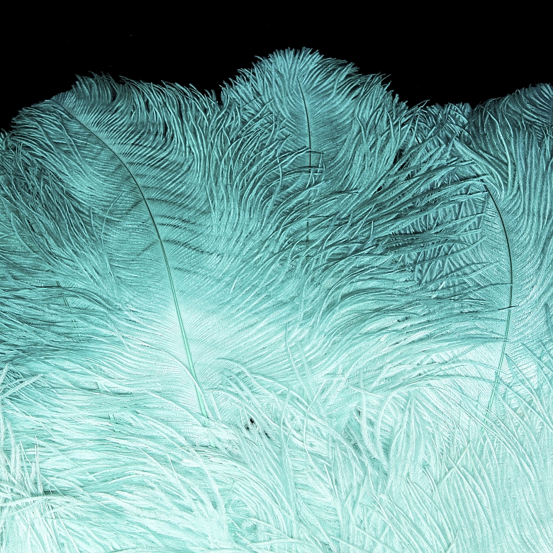 Fan with sky blue feathers, 20th century
