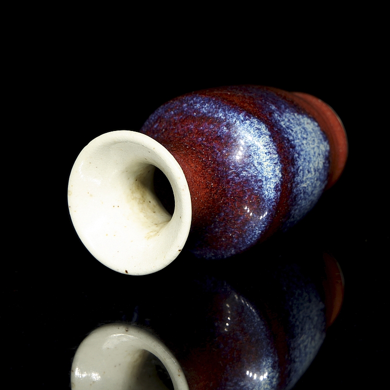 Jarrón de porcelana con vidriado bicolor, dinastía Qing - 5