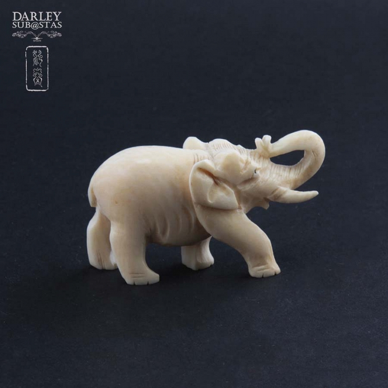 Elephant ivory - 1