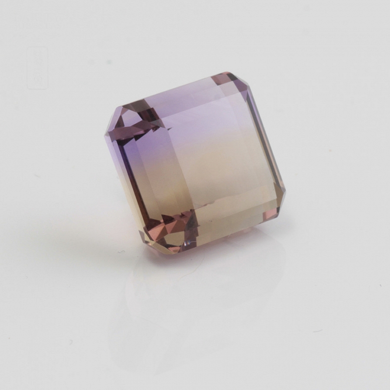 Bonito ame trinó ,  en talla cojín /princesa, - 2