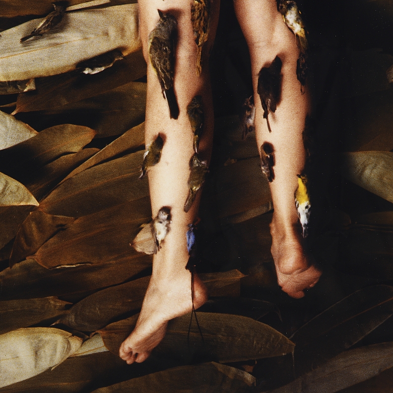 Cecilia Paredes (1950) “El Sueño”, 2005