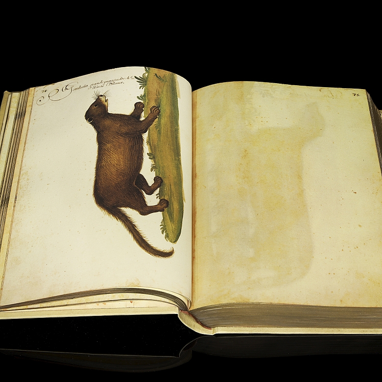 Jacobus Honoratus Pomar ‘Atlas of Natural History’, 1990 - 2