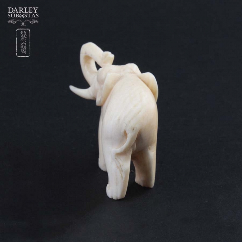 Elephant ivory - 3
