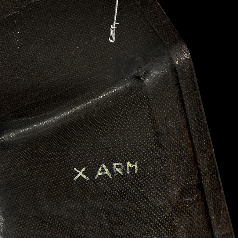 Rear Side Panel, Ferrari F1 Team F310
