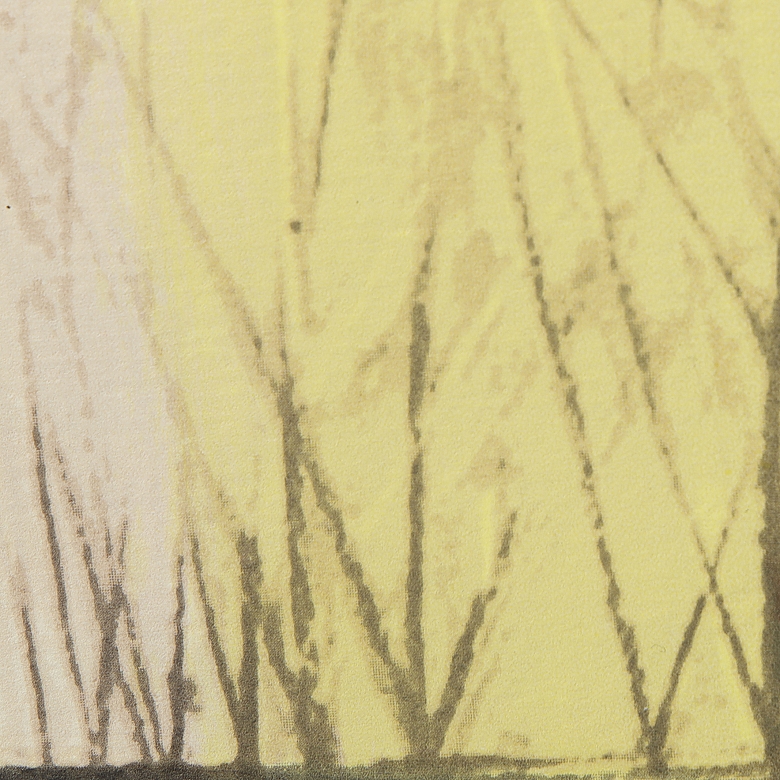 何塞·贝迪亚 José Bedia，《贪吃公牛的故事》，2005年