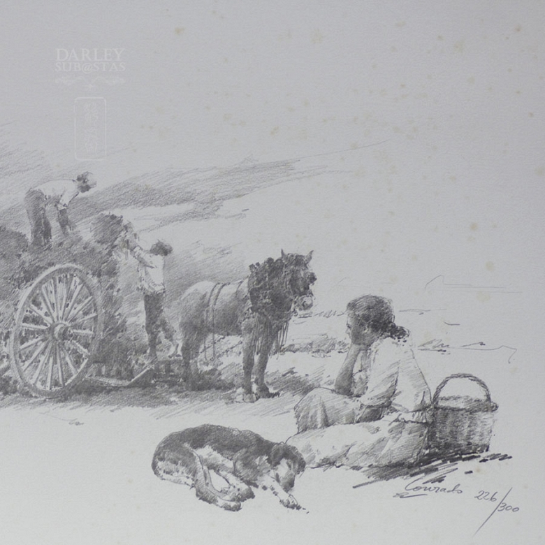 Conrado Meseguer Munoz 3 Lithographs - 4