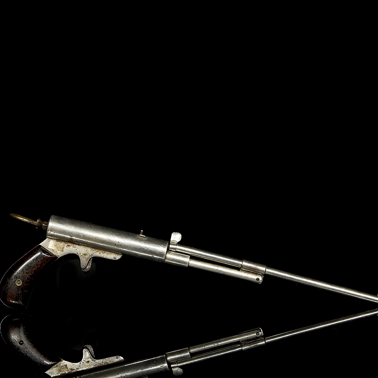 Johnson & Bye Champion ‘Compressed Air Gun’