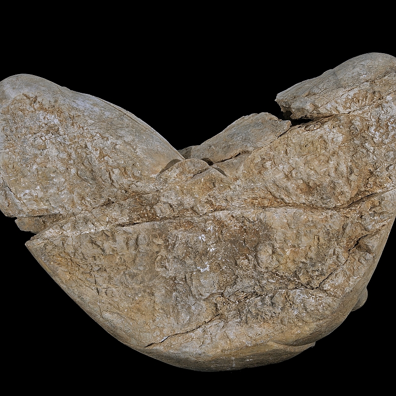 Gran figura de piedra tallada 