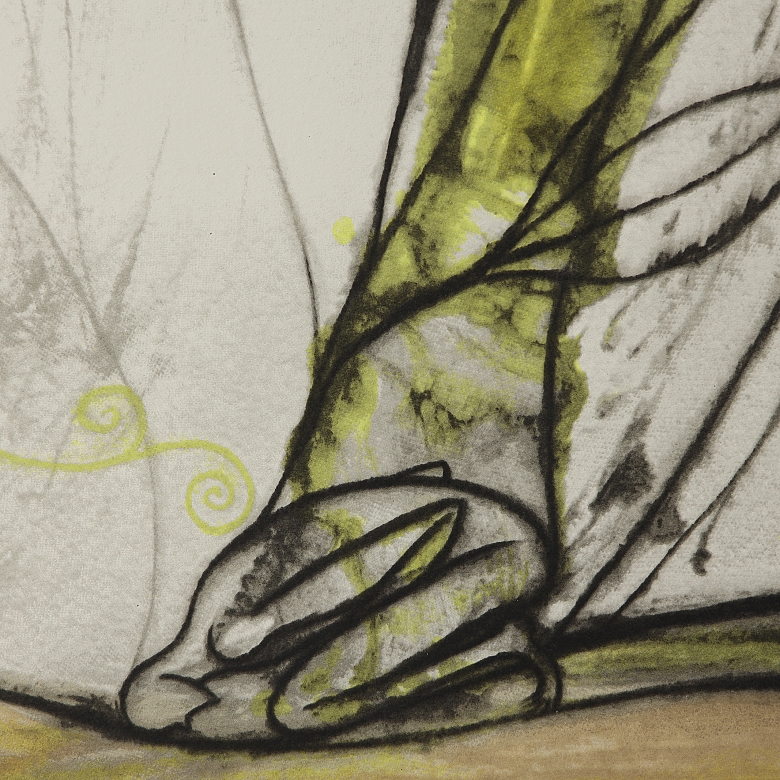 何塞·贝迪亚 José Bedia（1959-）《草地上的圣母》，2004年