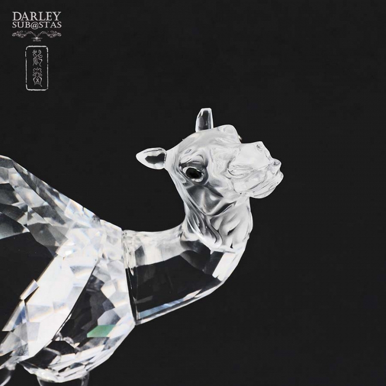 Camello de Swarovski - 4