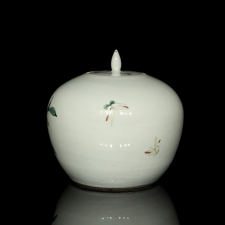 Recipiente de porcelana esmaltada