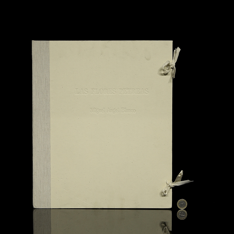 米格尔·安赫尔·布兰科 Miguel Angel Blanco《石头花》，2003年 - 5